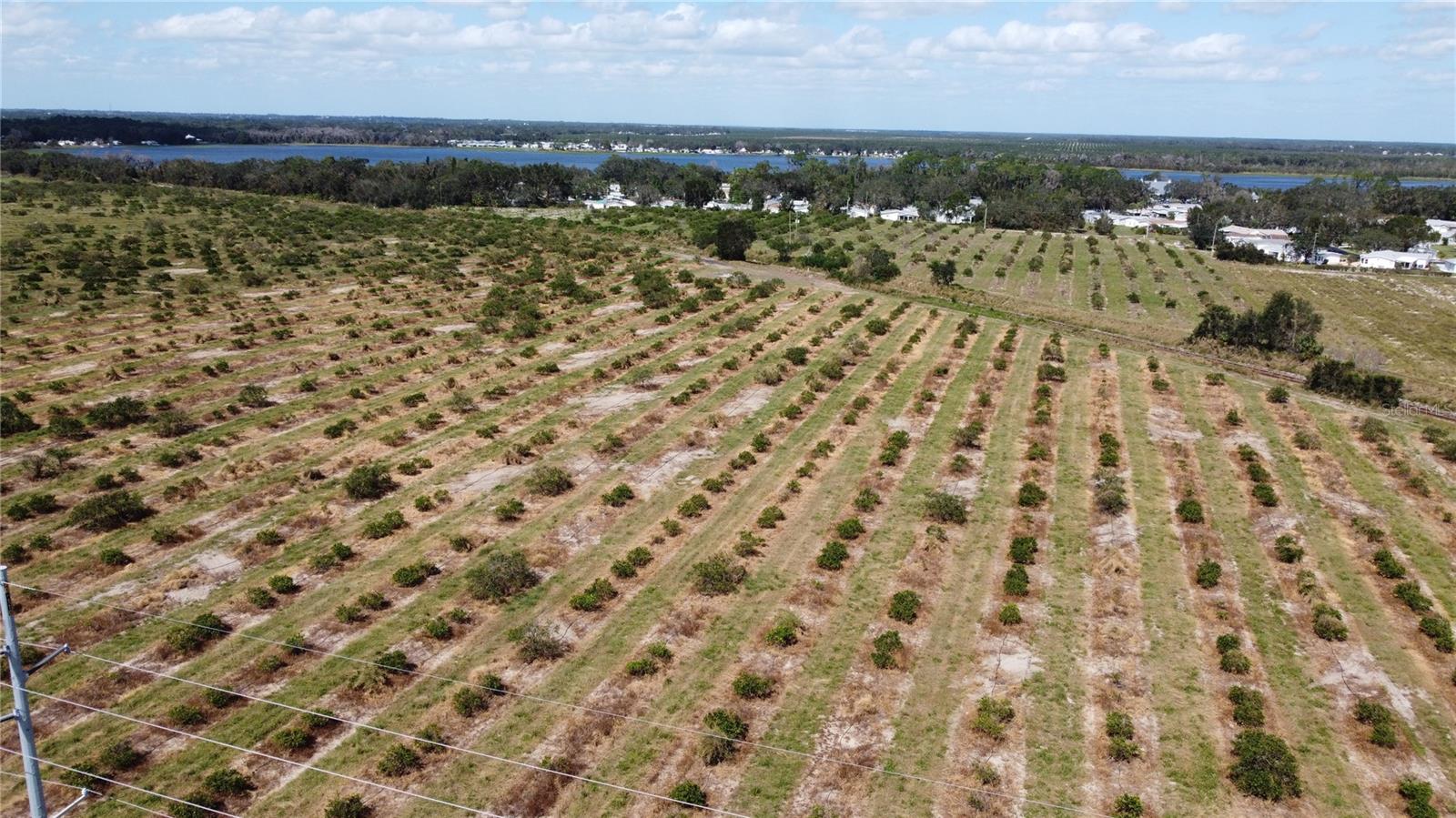 3162 POWER LINE ROAD