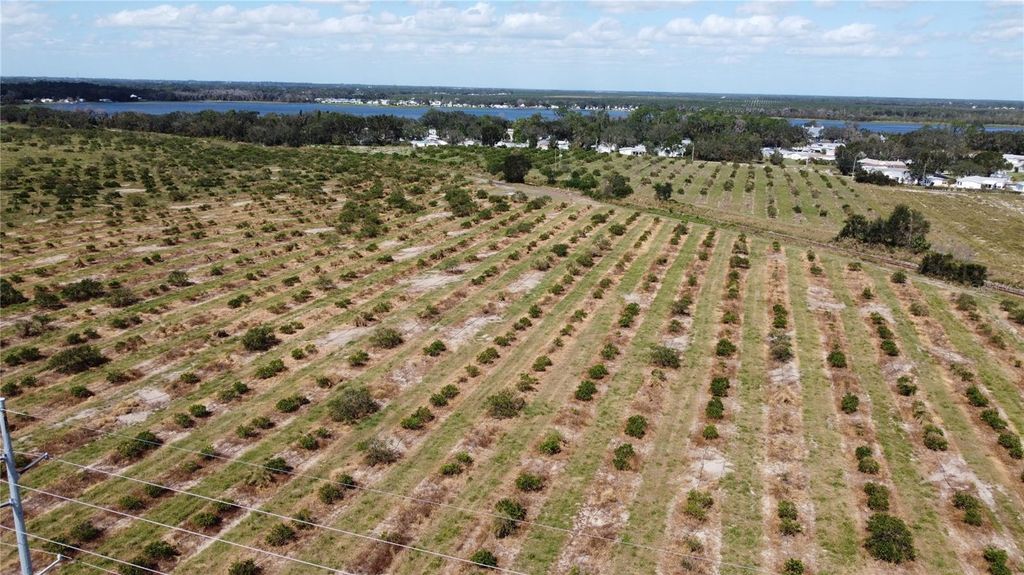 Photo of 3162 Power Line Road, Avon Park, FL 33825 (MLS # TB8500013)