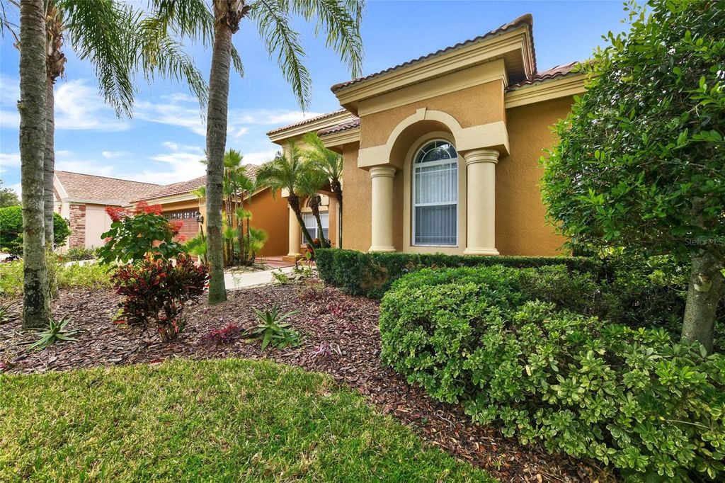 Photo of 1353 El Pardo Drive, Trinity, FL 34655 (MLS # TB8399872)