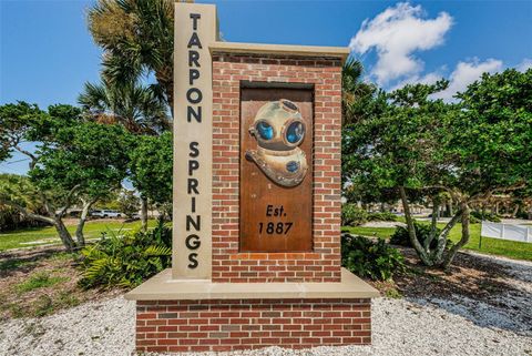 A home in TARPON SPRINGS