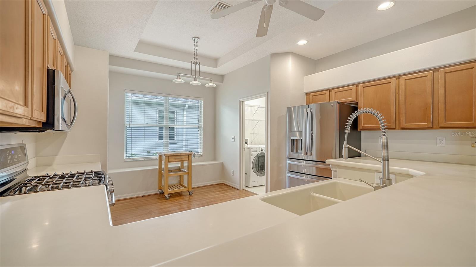 CARLYLE AT VILLAGES OF PALM-AIRE - Residential