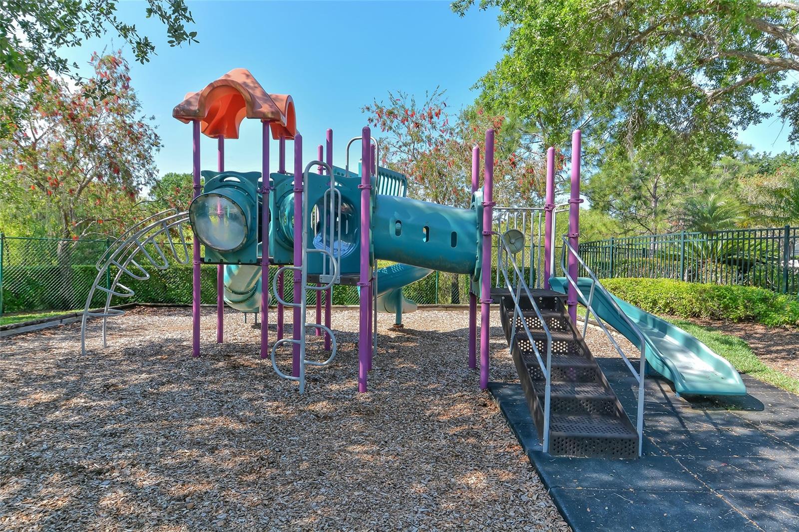 CARLYLE AT VILLAGES OF PALM-AIRE - Residential