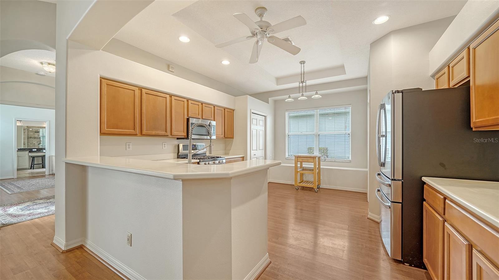 CARLYLE AT VILLAGES OF PALM-AIRE - Residential