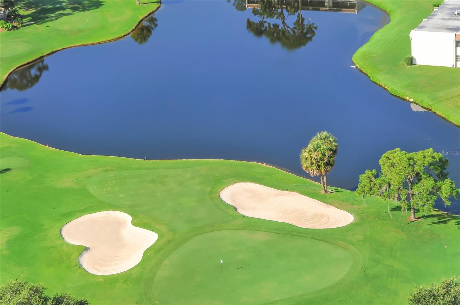 CARLYLE AT VILLAGES OF PALM-AIRE - Residential