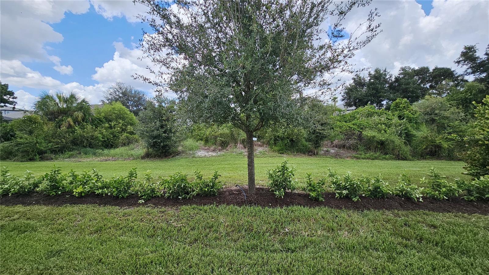 CRESSWIND PH I SUBPH A & B - Residential