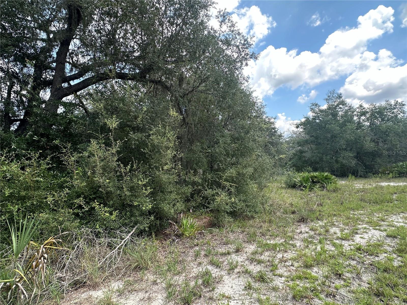 RAINBOW LAKES ESTATES - Land