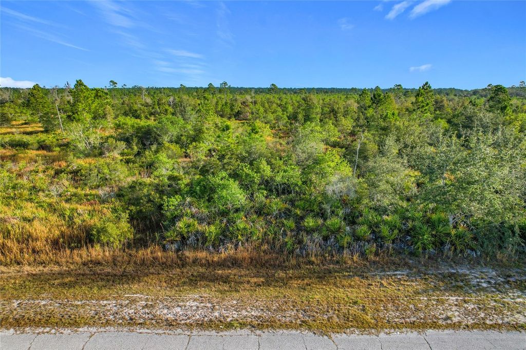 Photo of 81 Meadow Lark Boulevard, Lake Wales, FL 33898 (MLS # G5105889)