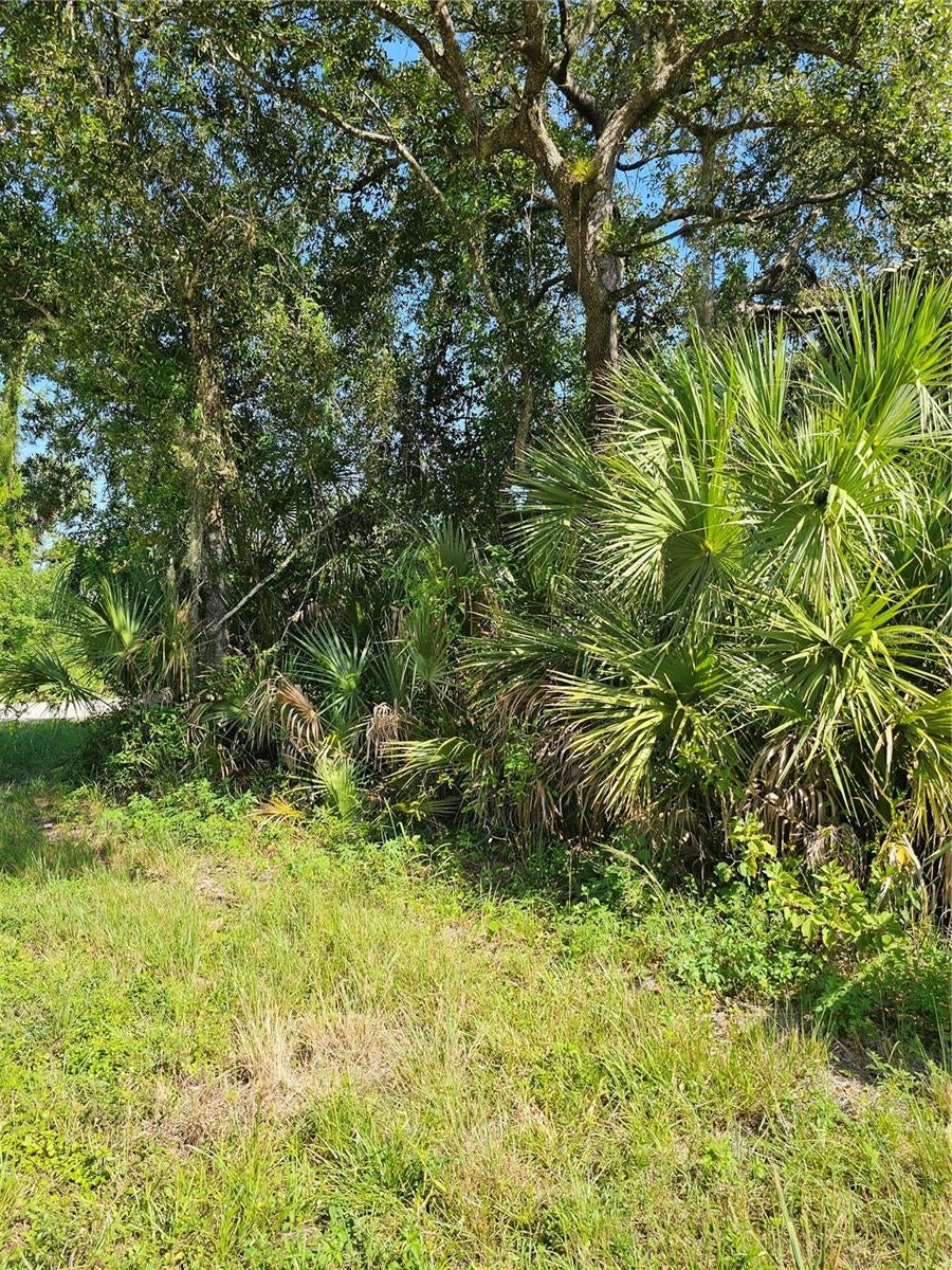 Photo of 18137 Sinatra Avenue, Port Charlotte, FL 33954 (MLS # N6145143)
