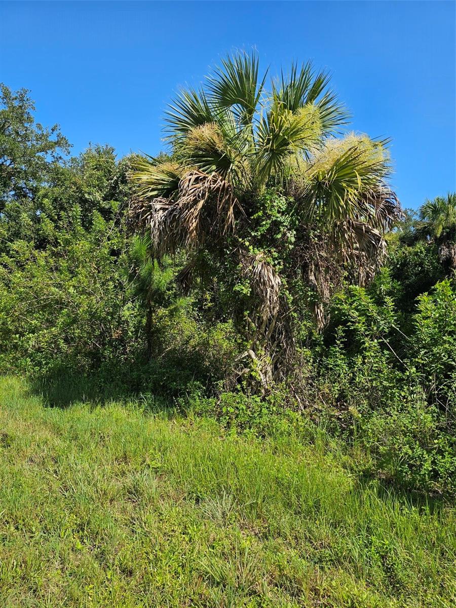 18137 SINATRA AVENUE