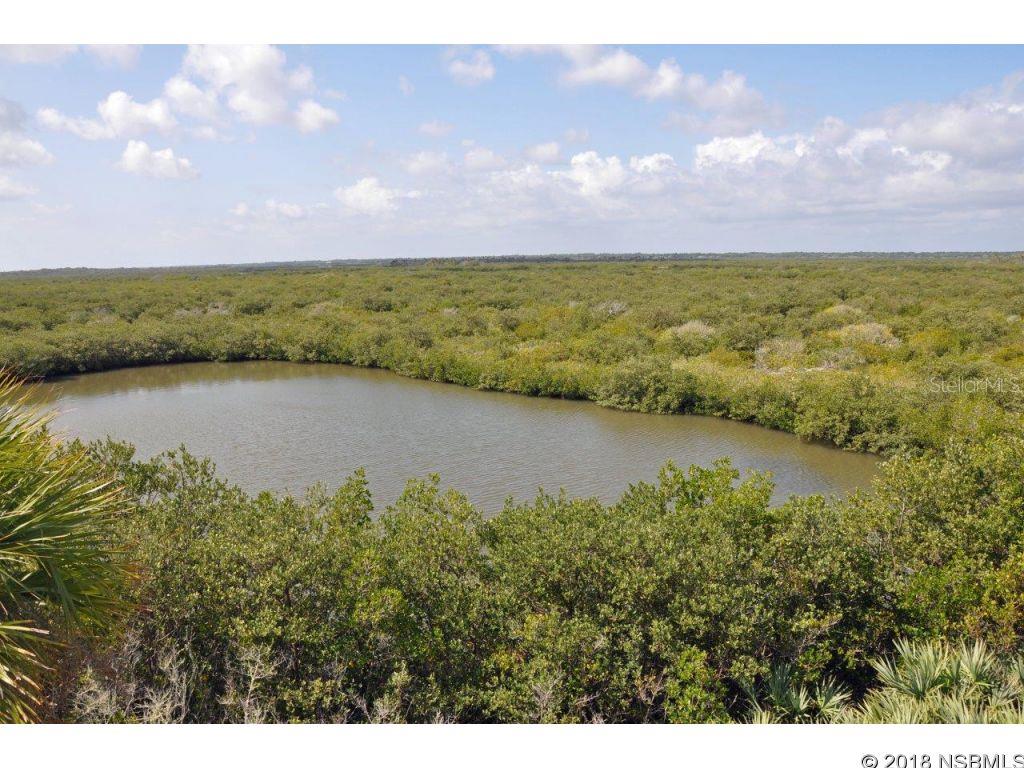 Bethune Volusia Beach - Residential