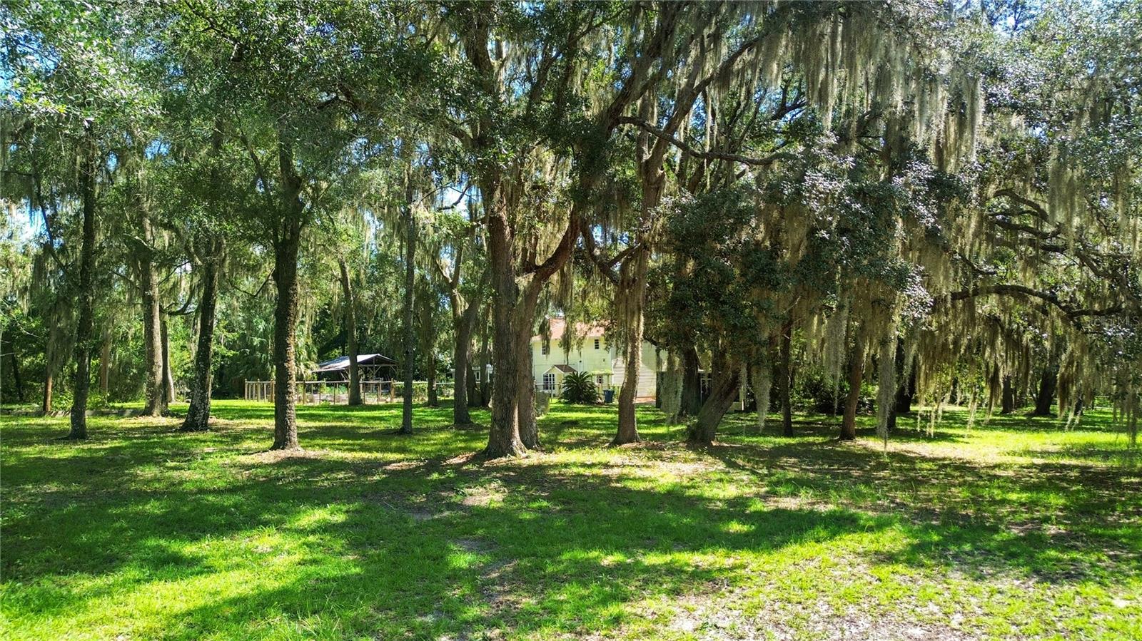5225 GRIFFIN ROAD