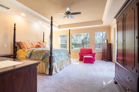 Tiny photo for 15950 Splendid Oaks Lane, Tavares, FL 32778 (MLS # O6390629)