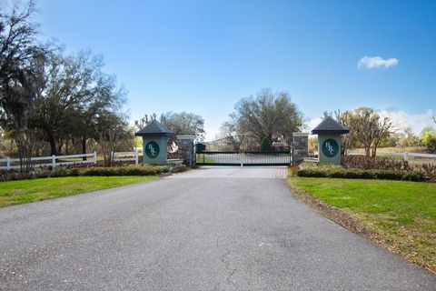 Tiny photo for 15950 Splendid Oaks Lane, Tavares, FL 32778 (MLS # O6390629)