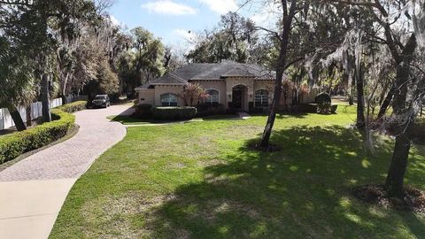 Tiny photo for 15950 Splendid Oaks Lane, Tavares, FL 32778 (MLS # O6390629)