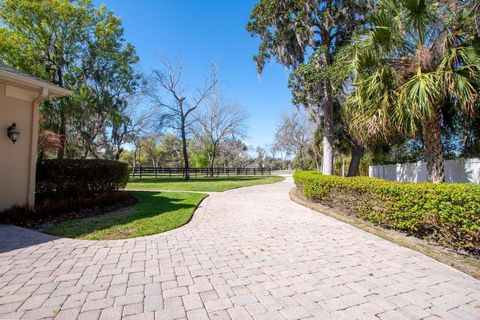 Tiny photo for 15950 Splendid Oaks Lane, Tavares, FL 32778 (MLS # O6390629)