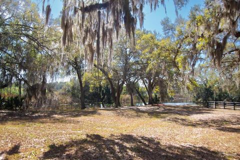 Tiny photo for 15950 Splendid Oaks Lane, Tavares, FL 32778 (MLS # O6390629)