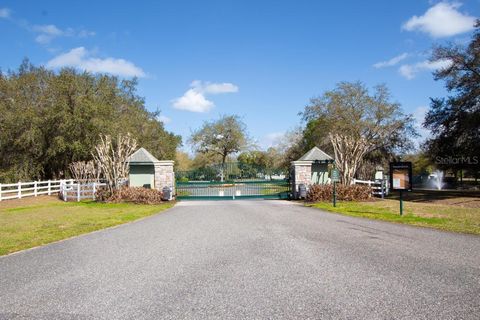 Tiny photo for 15950 Splendid Oaks Lane, Tavares, FL 32778 (MLS # O6390629)