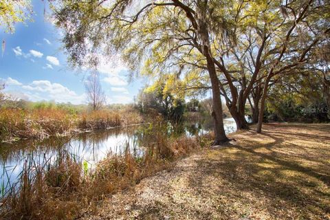 Tiny photo for 15950 Splendid Oaks Lane, Tavares, FL 32778 (MLS # O6390629)