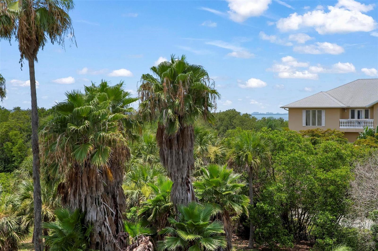 PALMA SOLA BAY CLUB PH 8 - Residential