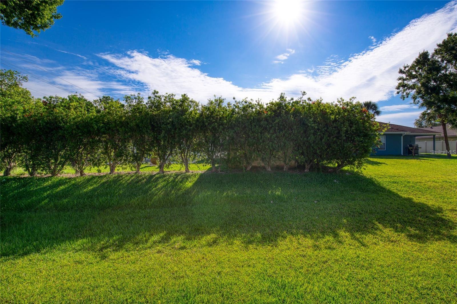 MASON & CARSWELLS HOLLY HILL - Residential Income