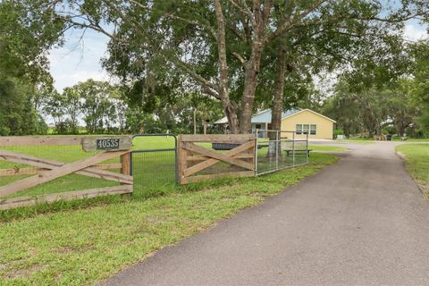 Tiny photo for 40535 Louise Road, Umatilla, FL 32784 (MLS # G5099270)
