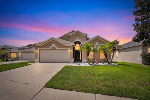Property photo of 11115 Silver Dancer Drive, Riverview, FL 33579