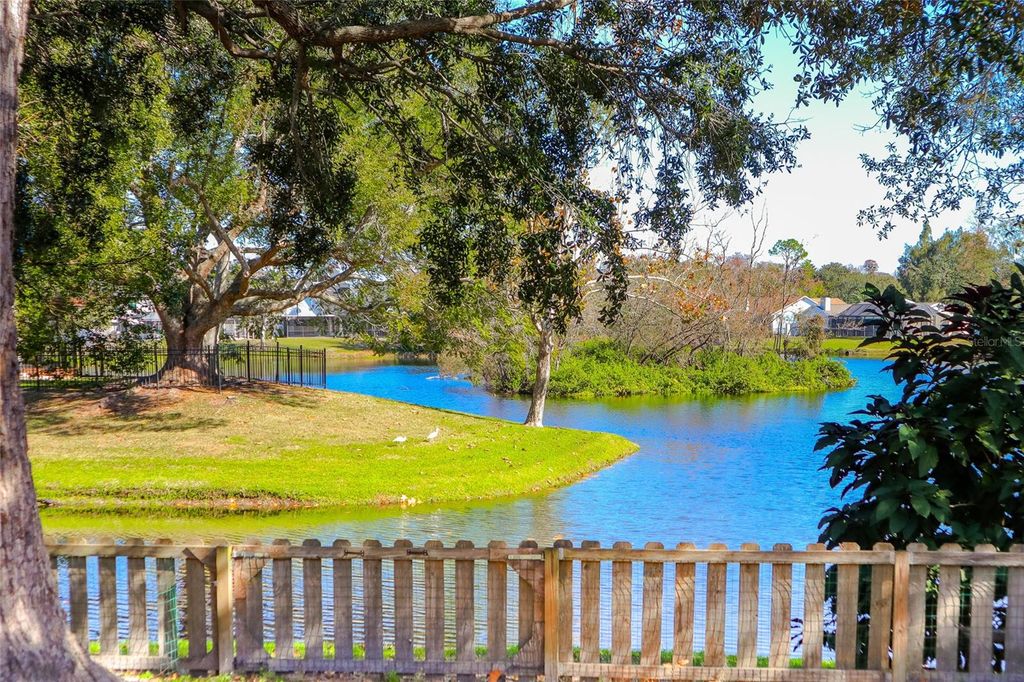 Photo of 4312 Venice Drive, Land O Lakes, FL 34639 (MLS # TB8459628)