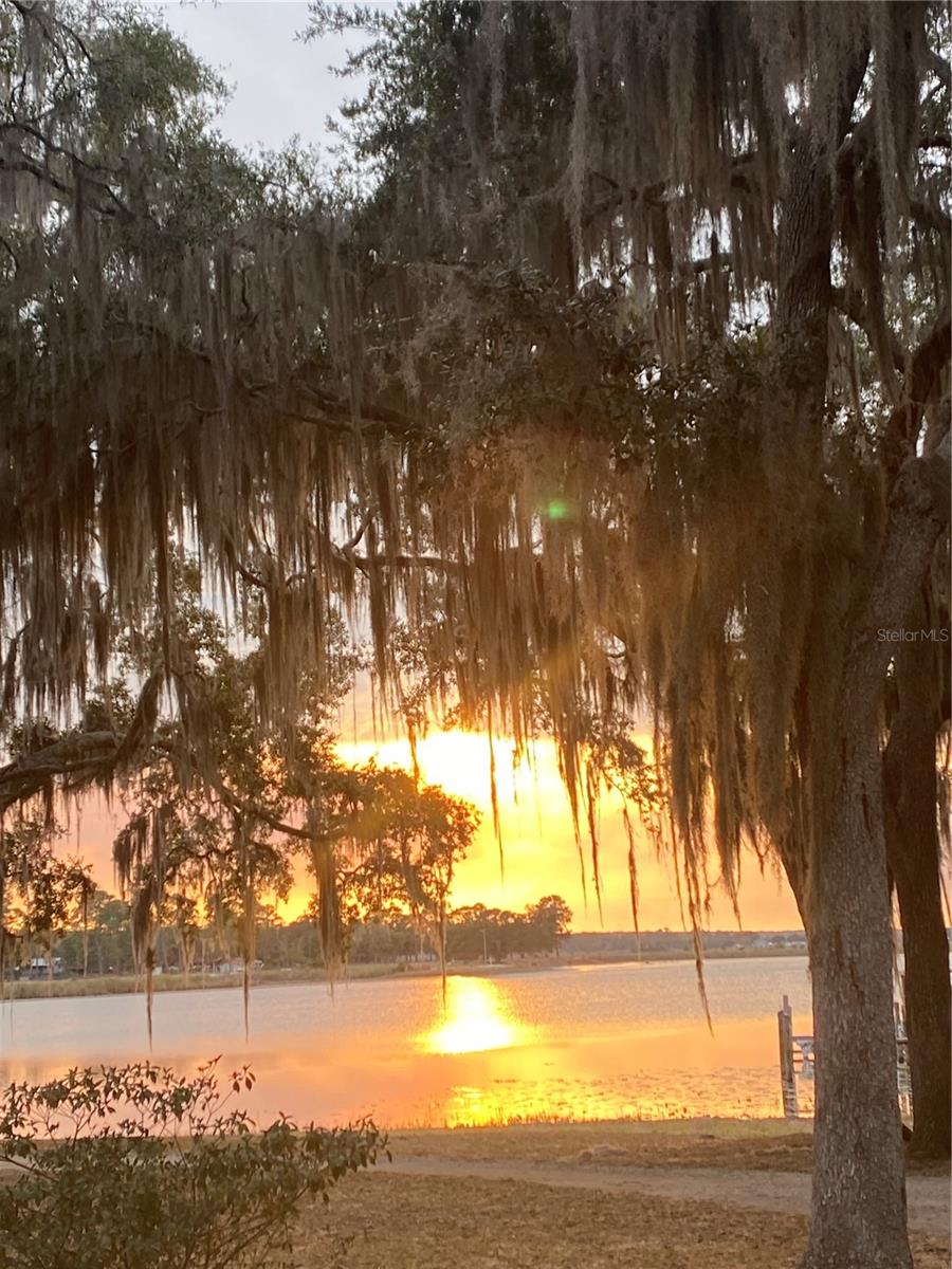 SALT SPRINGS RESORT - Residential