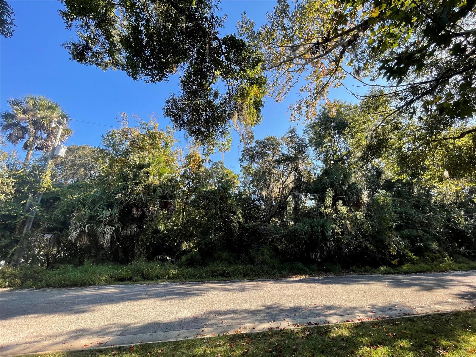 BULOW WOODS SUB - Land