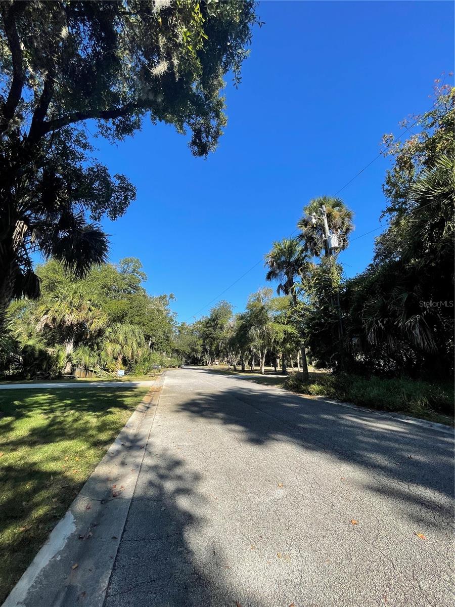 BULOW WOODS SUB - Land