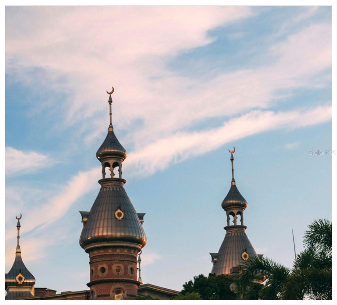 PENDRY RESIDENCES TAMPA - Residential