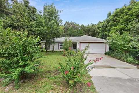 A home in DE LEON SPRINGS