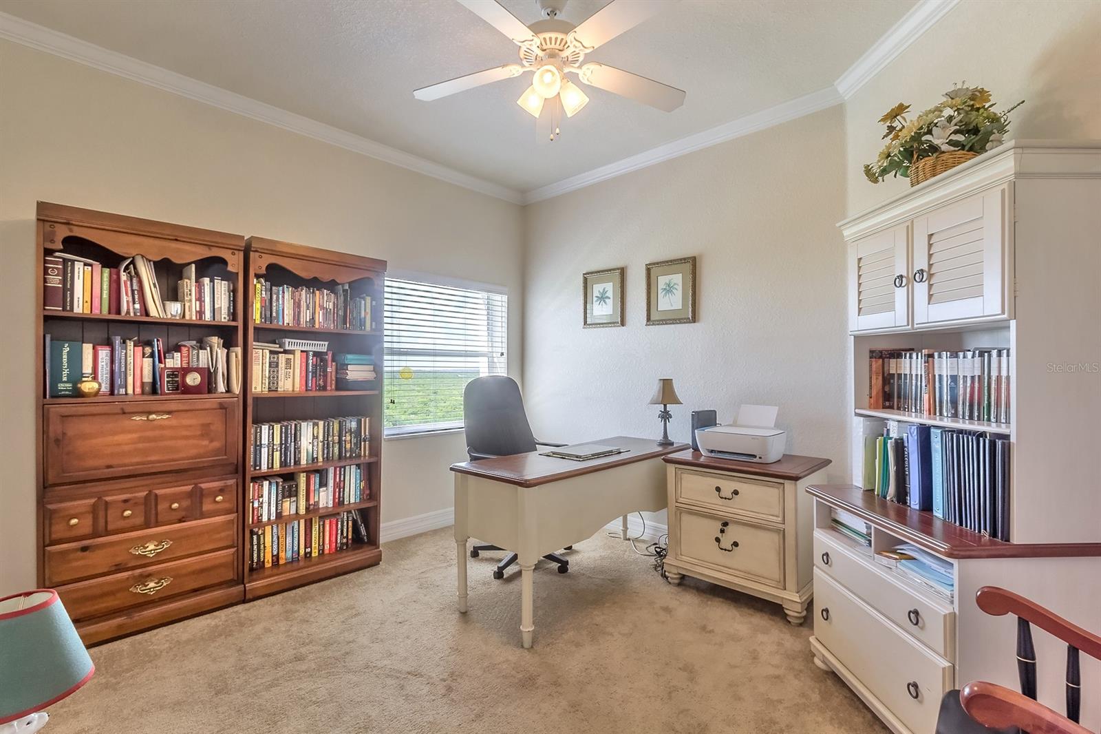 Ocean Walk/New Smyrna Beach Bl - Residential