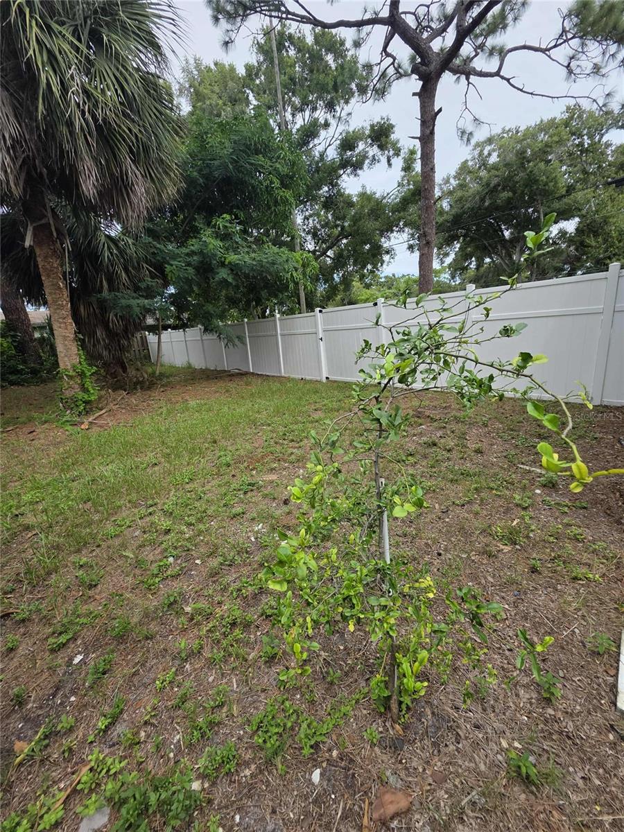 PINELLAS PARK - Residential