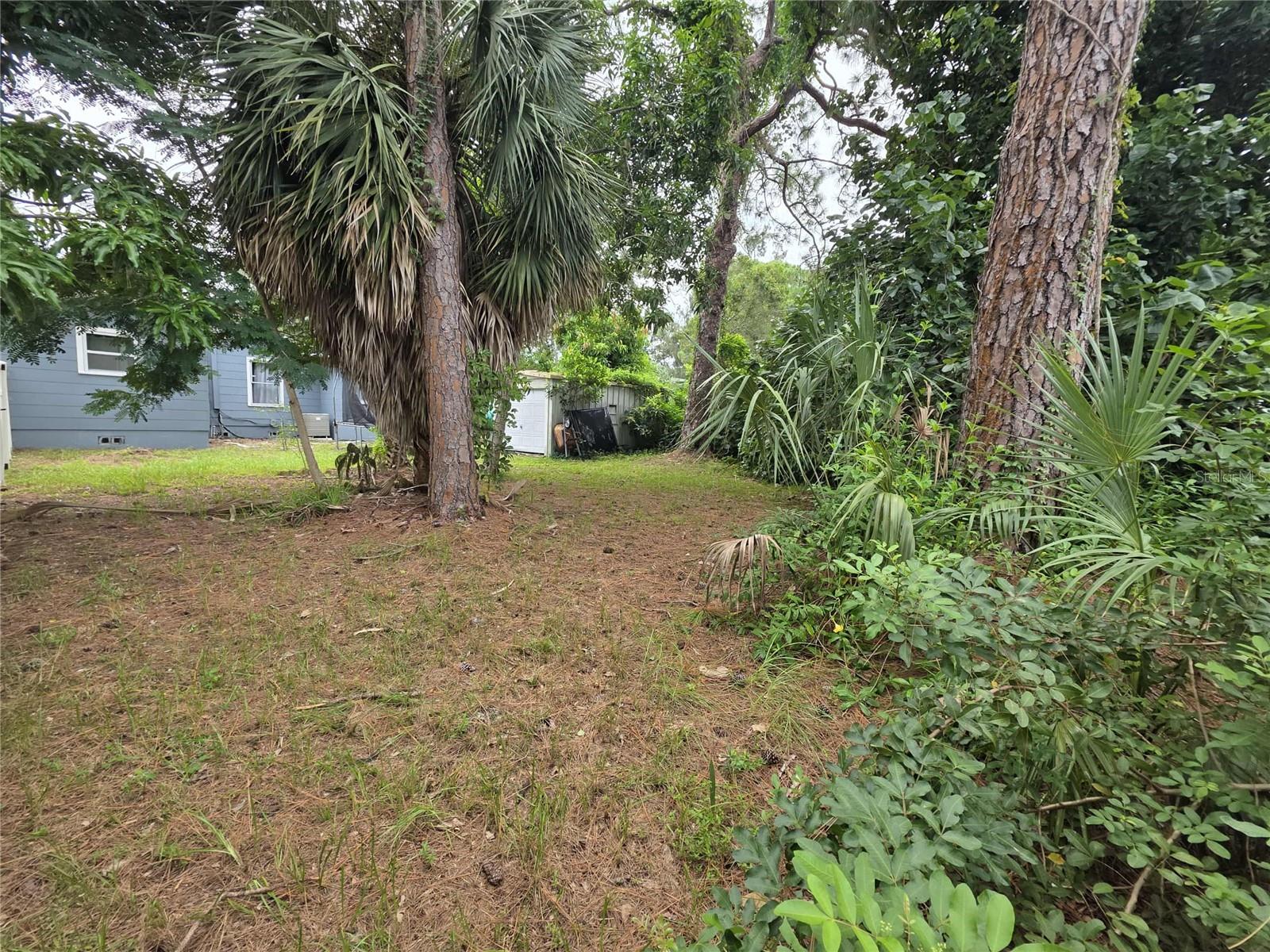 PINELLAS PARK - Residential