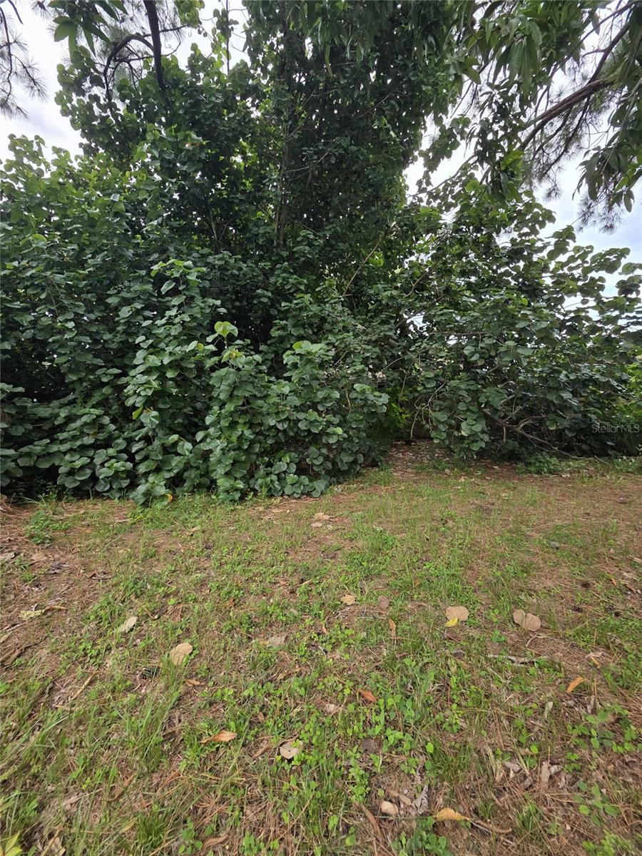 PINELLAS PARK - Residential