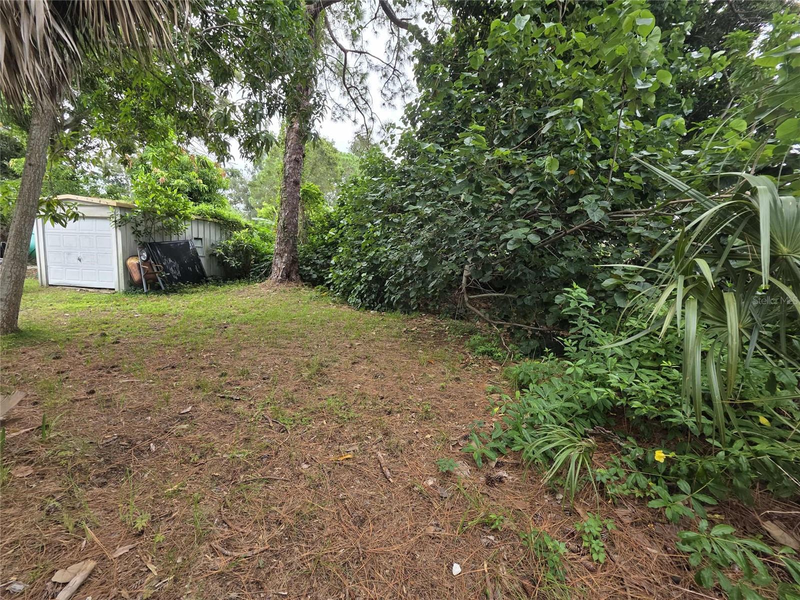 PINELLAS PARK - Residential