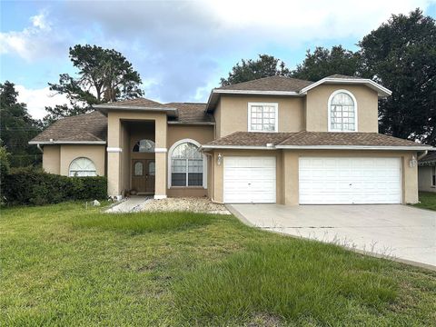 10402 ASHLEY OAKS DRIVE RIVERVIEW FL 33578