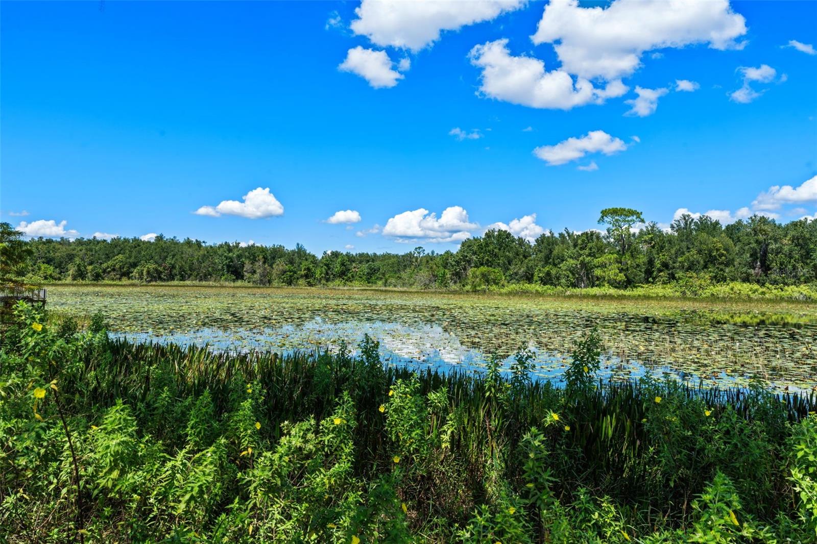 SILVER LAKE PARK - Residential