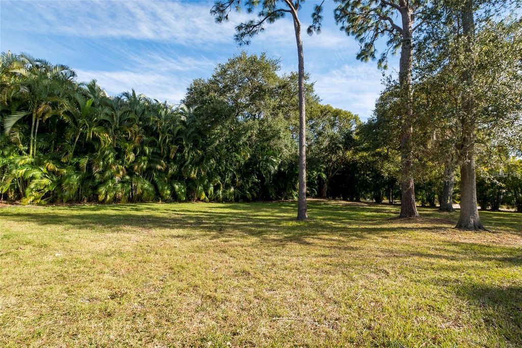Photo of 1647 Hobbit Road, Dunedin, FL 34698 (MLS # TB8485857)