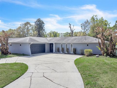 4727 STEEL DUST LANE LUTZ FL 33559