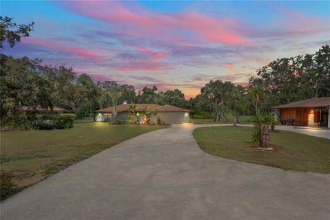 Photo of 17715 Fancy Lane, Hudson, FL 34667 (MLS # W7877728)