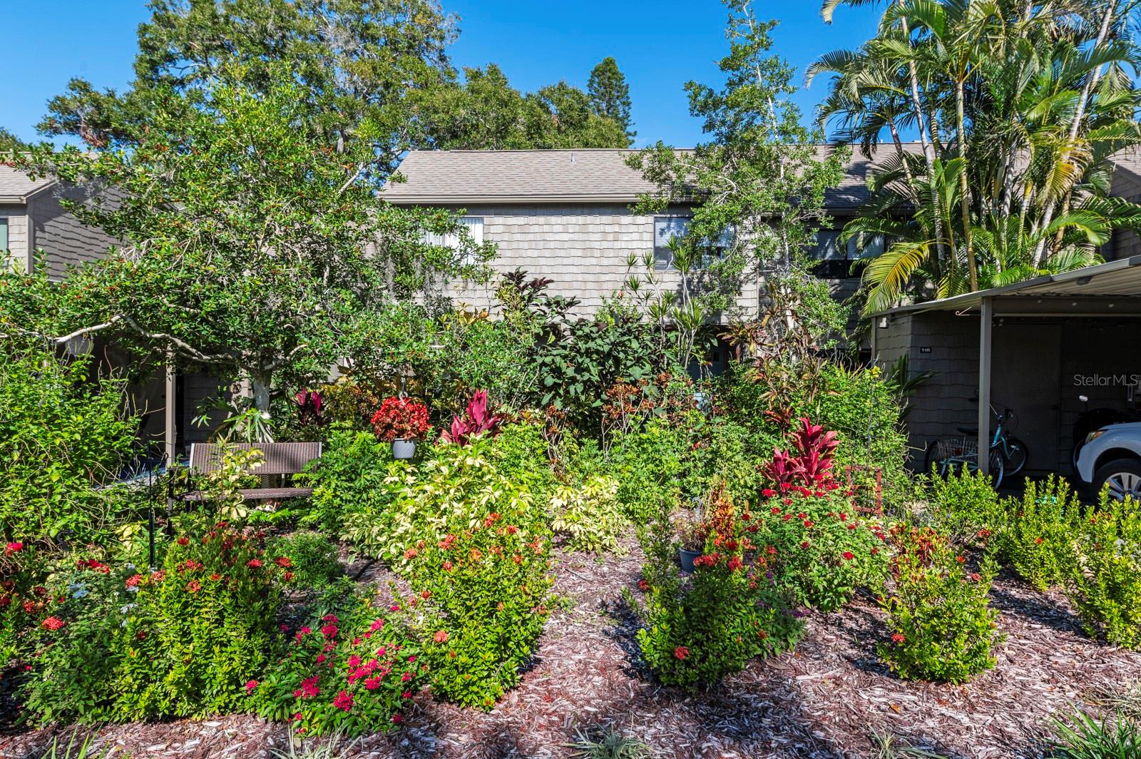 PELICAN COVE III - Residential