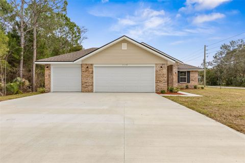 A home in PALM COAST