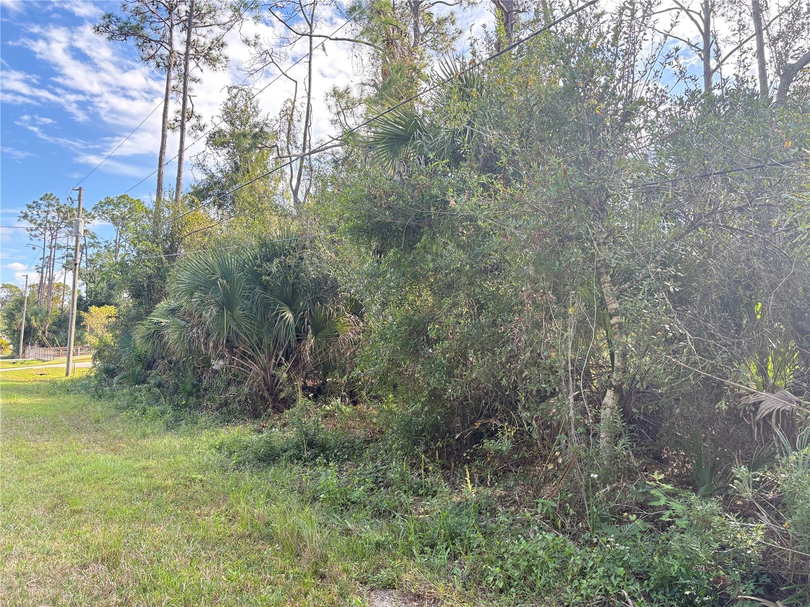 PORT CHARLOTTE SUB 31 - Land