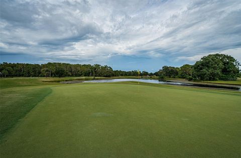 A home in PALM HARBOR