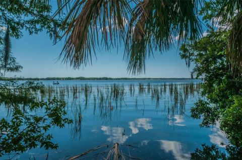 A home in PALM HARBOR