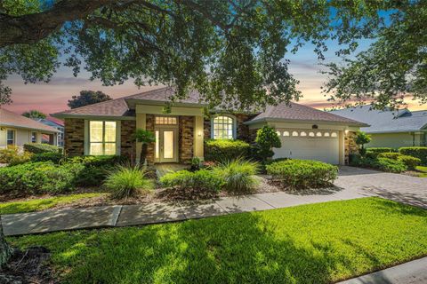 A home in PALM COAST