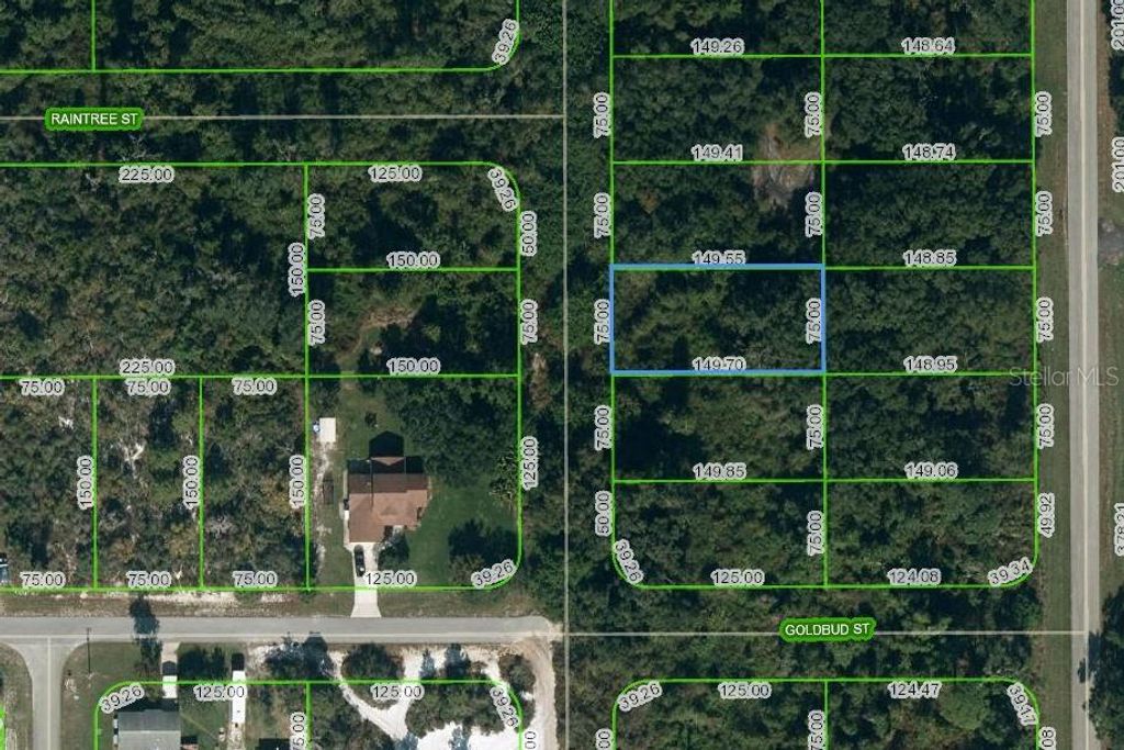 Photo of 251 Marshall Avenue, Lake Placid, FL 33852 (MLS # OM624738)