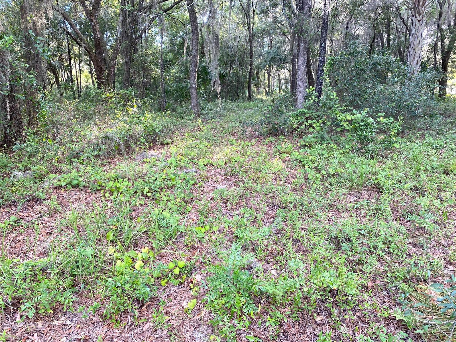 RAINBOW LAKES ESTATE - Land